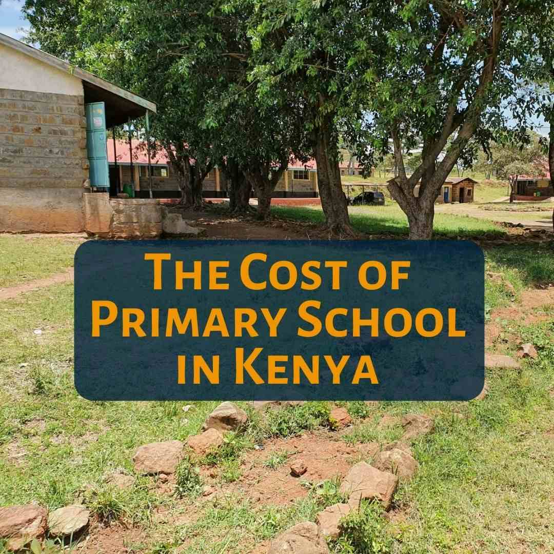Cost of primary school in Kenya